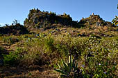 Inle Lake Myanmar. Indein, a cluster of ancient stupas  ruined and overgrown with bushes, just behind the village. 